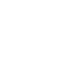 google trend.png